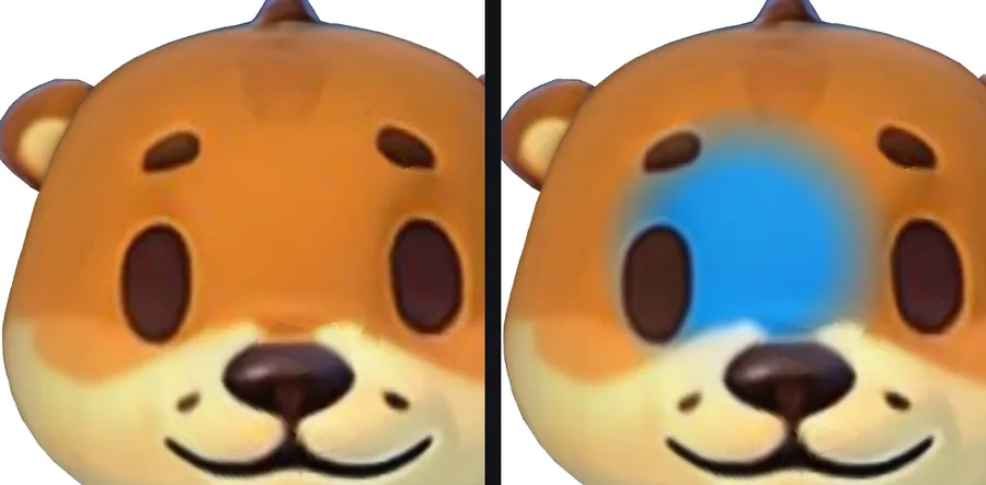Close-up of the bear’s face before and after a marked region was repainted blue; the rest of the face is unchanged
