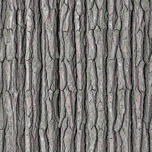 Seamless oak bark texture